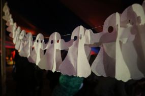 Feast of the Dead Flora in the Botanical Garden