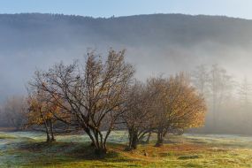 Осень в Карпатах