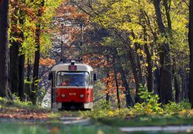 Tram in Pushcha-Vodytsya