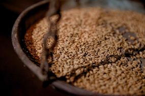 Exhibition "Maria" by Lesya Marushchak at the Holodomor Museum