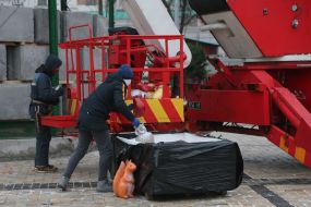 Installation of a Christmas tree on Sophia Square