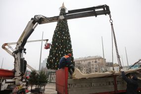 Installation of a Christmas tree on Sophia Square