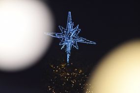 Ceremony of illumination of the main Christmas tree of Lviv