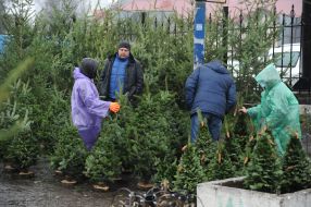 Christmas market in Lviv