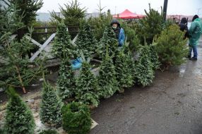 Christmas market in Lviv