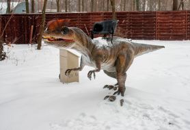 Dinosaur Park