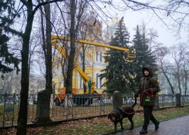 Decoration of Christmas trees near Vladimir Cathedral