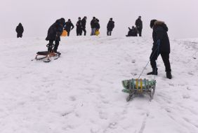 Children are sledding