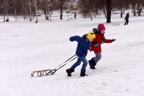 Children are sledding