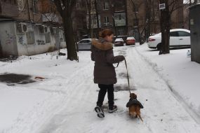 The girl is walking the dog