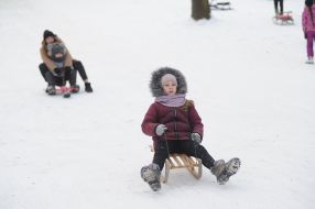 Tobogganing