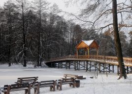 Мост в парке в Пуще-Водице