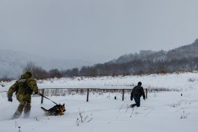 A serviceman of the Chop border detachment with a dog detains the violator