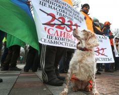 Rally of hunting organizations and farms near the Verkhovna Rada