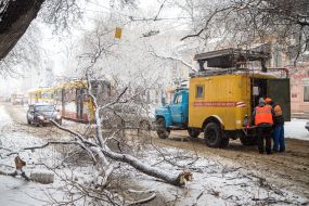 Emergency service car near a fallen tree