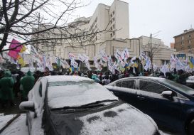 Participants of the SaveFOP movement demonstration
