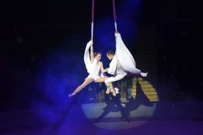 Presentation of the program "Circus, circus, circus!" in Zaporozhye