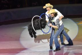 Presentation of the program "Circus, circus, circus!" in Zaporozhye