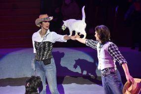 Presentation of the program "Circus, circus, circus!" in Zaporozhye