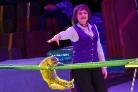 Circus actress and trained cat