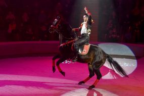 Circus actor and trained horse