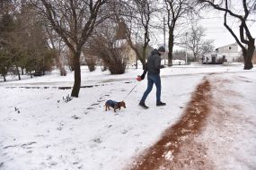 Посыпанная кофейной гущей дорожка в парке во Львове