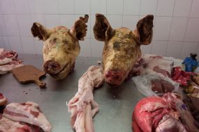 Meat on the counter  at one of the markets in Zaporozhye