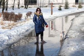 Женщина с собакой на затопленной водой дорожке в парке в Киеве