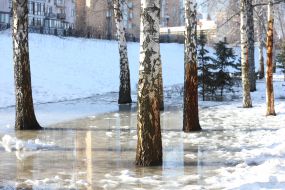 Лужи на снегу во время оттепели в парке в Киеве