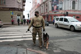 Правоохранитель с собакой