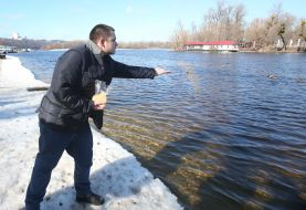 Мужчина кормит диких уток