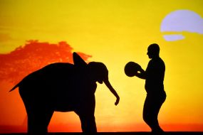 Shadow Theater Teulis