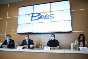 Bees Airline presentation