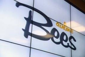 Bees Airline presentation