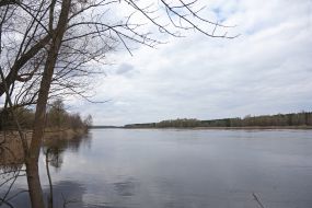 Река Уж в Чернобыле