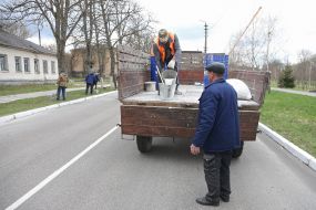 Worker whitewash trees in spring