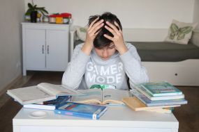 Homeschooling during quarantine