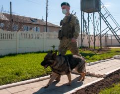Прикордонник