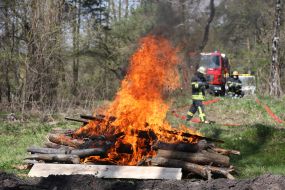 Specialized trainings of Kyiv rescue and communal services for counteraction and liquidation of consequences of forest fires