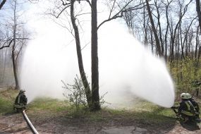 Specialized trainings of Kyiv rescue and communal services for counteraction and liquidation of consequences of forest fires