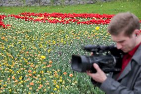 Exhibition of tulips in Kyiv