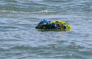 Wreath on the water