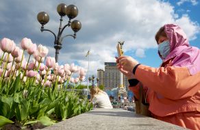 Woman takes pictures of tulips
