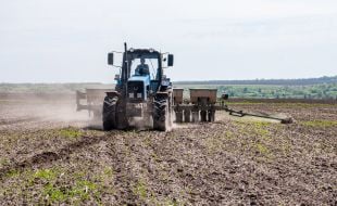 Sowing campaign