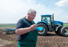 Sowing campaign