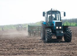 Sowing campaign