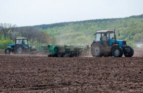 Sowing campaign