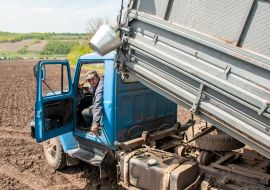 Sowing campaign