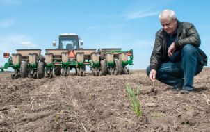 Sowing campaign