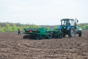 Sowing campaign
